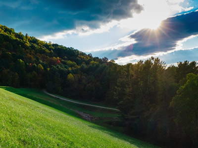 Sun shining on grass
